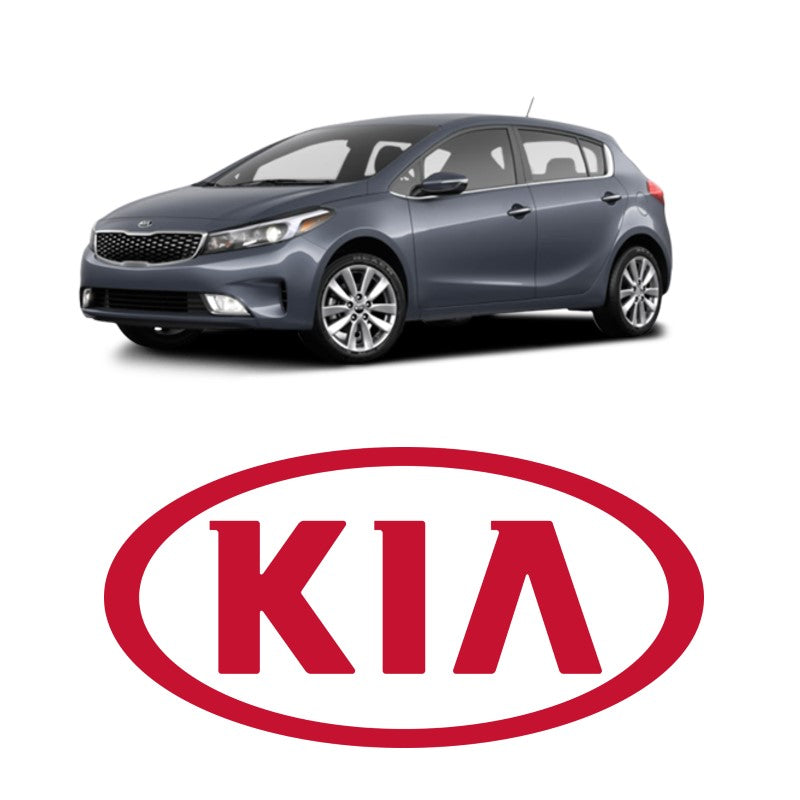 For Kia Forte/Forte5 2017 2018 Door Mirror Passenger Side | Power | Heated | Sedan | Replacement For KI1321213 | 191275404683, 87620B0000 Sold 2018 Kia Forte5 SX in Montclair